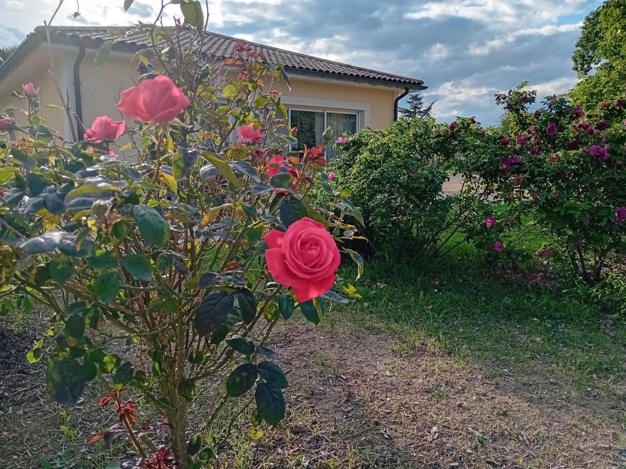 Gite L'Entraxe Tres Lumineux Au Coeur De Saint Didier Exterior foto